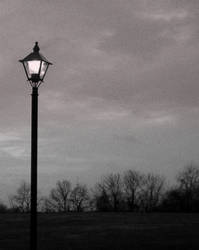 The Cynical Lamppost