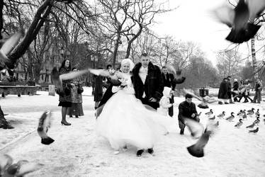 Birds and the Couple