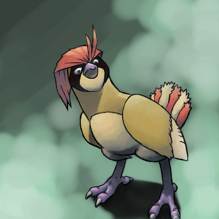 pidgeotto