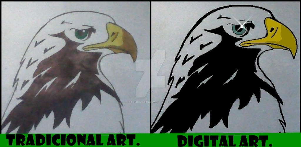 First Differences Design The difference in design. by Lourdes10012 on DeviantArt