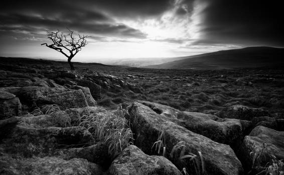 Above Malham