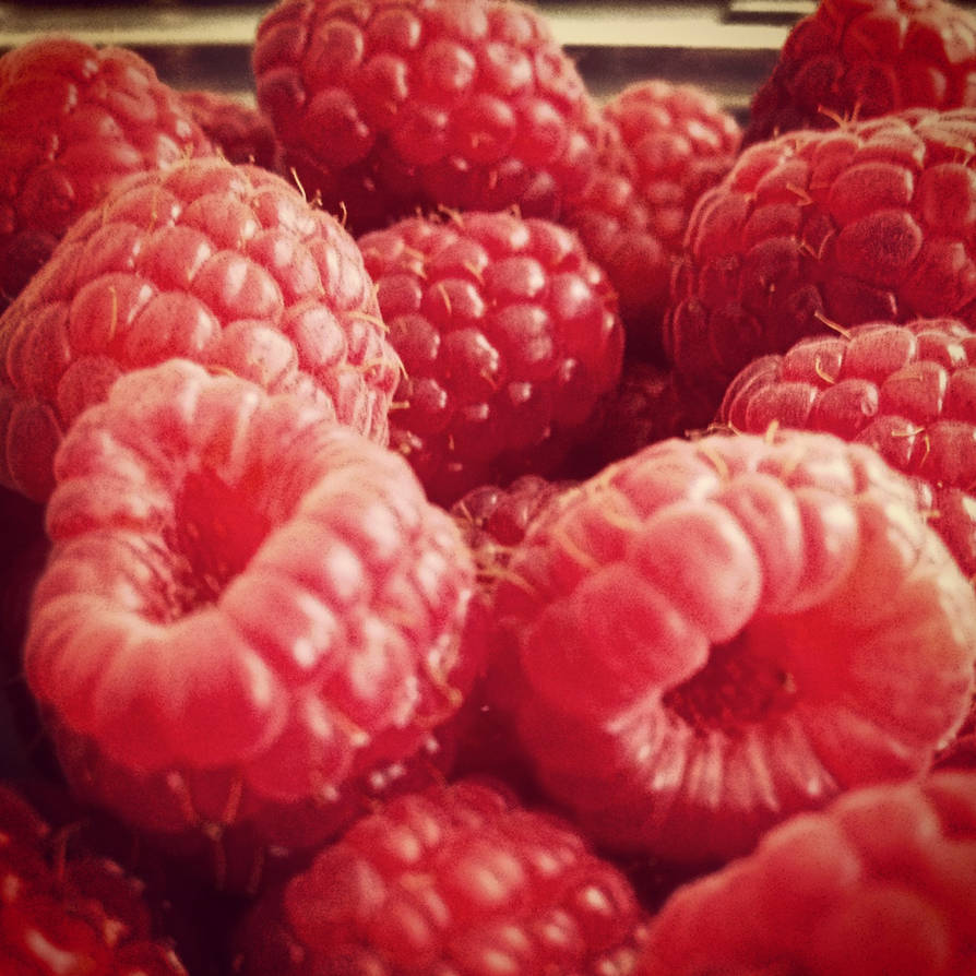 Raspberries by stephaniecontreras on DeviantArt