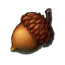 Acorn