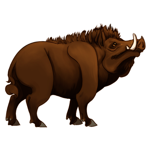 Boar - Brown by NemeionAdmin on DeviantArt
