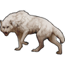 Wolf - Arctic