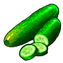 Cucumber