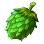 Hops