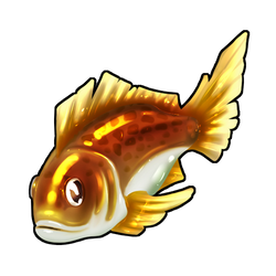 Bait Fish