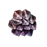 Scales