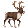 Reindeer - Brown