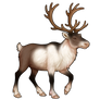 Reindeer - Cream