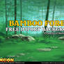 Bamboo Forest