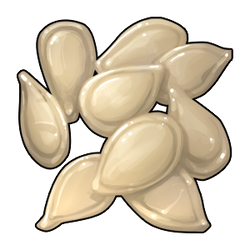 Seeds