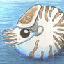 Complimentary Cute Nautilus