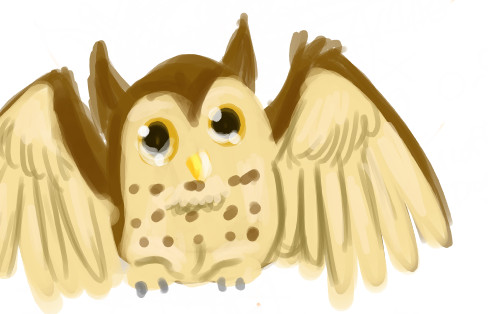 its a owl