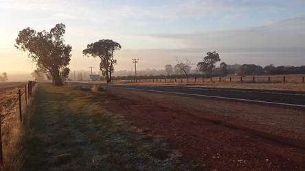 Frozen morning glory as the sun welcomes the new