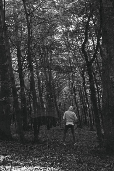 Alone in the forest V.