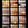Skin Palette for MyPaint