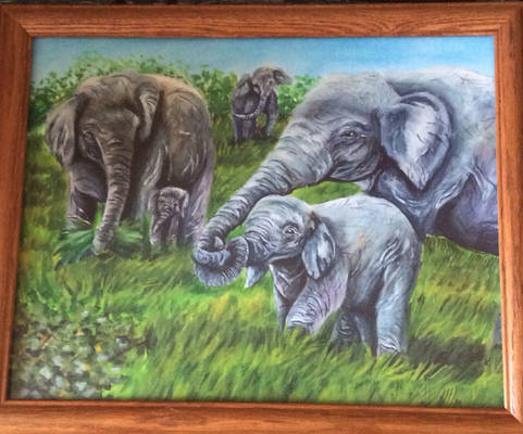 Elephants