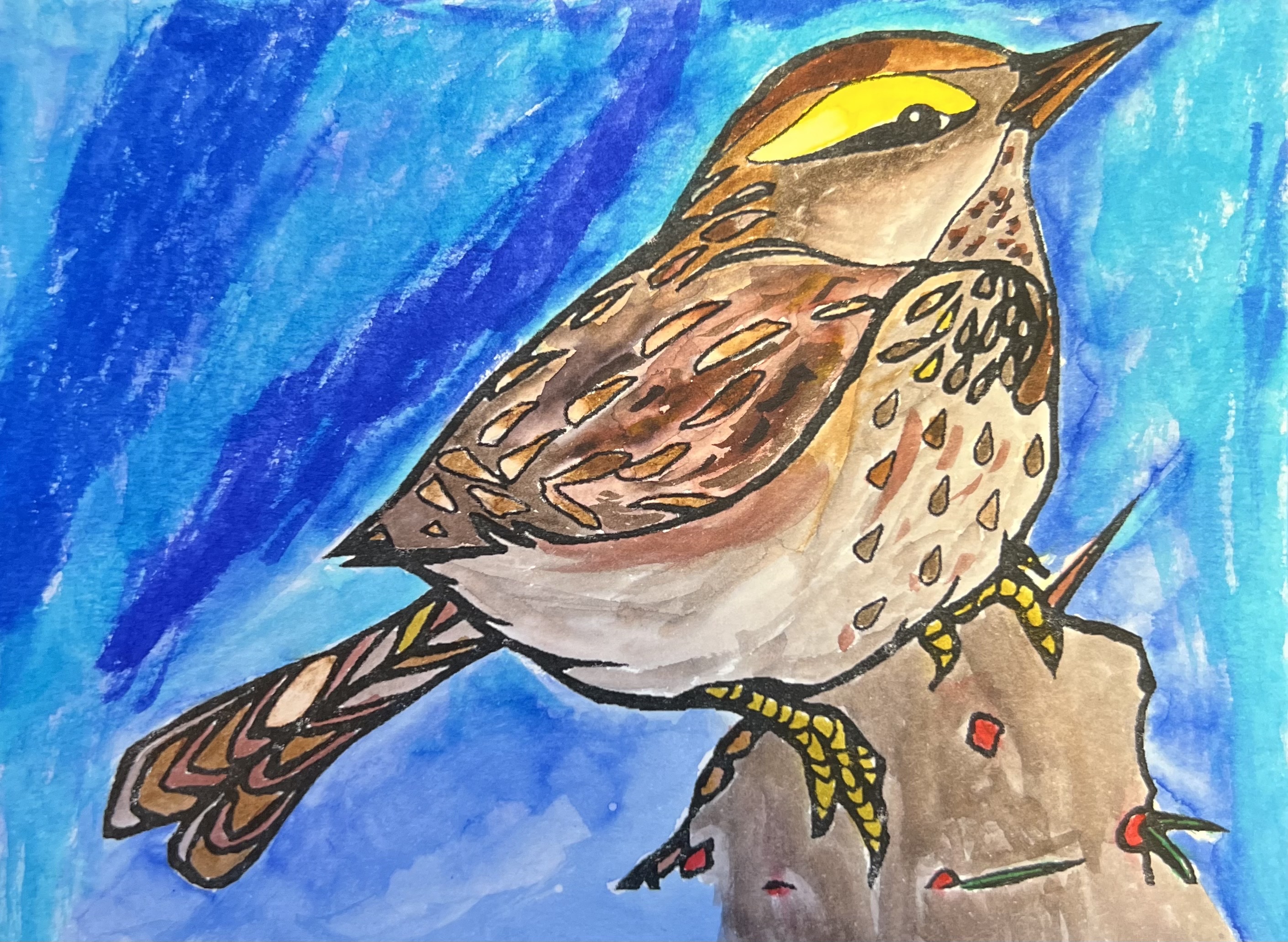 Birds Deviantart Watercolor Bird by HawktalonWarriors on DeviantArt