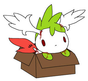 Skye In A Box