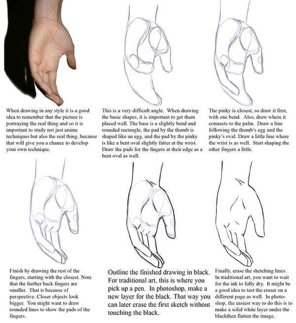 Deconstructing Hands Tutorial Hand Tutorial 4 by manic-goose on DeviantArt