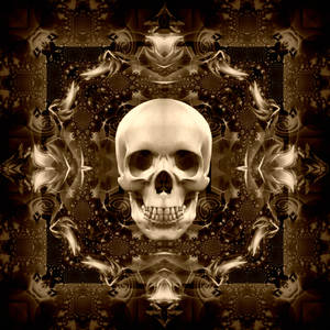 fantasy skull28