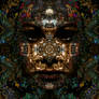 fractal face25