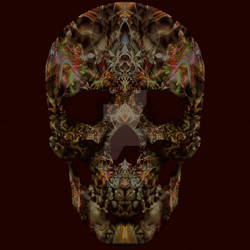 fantasy skull65