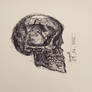 Skull study 09.06.2022