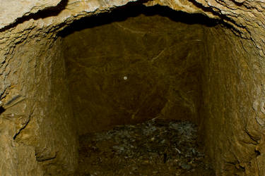 Mine Shaft 01