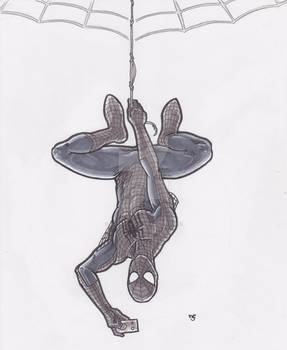 The Amazing Spider-Man