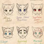 My catpeople face comparision