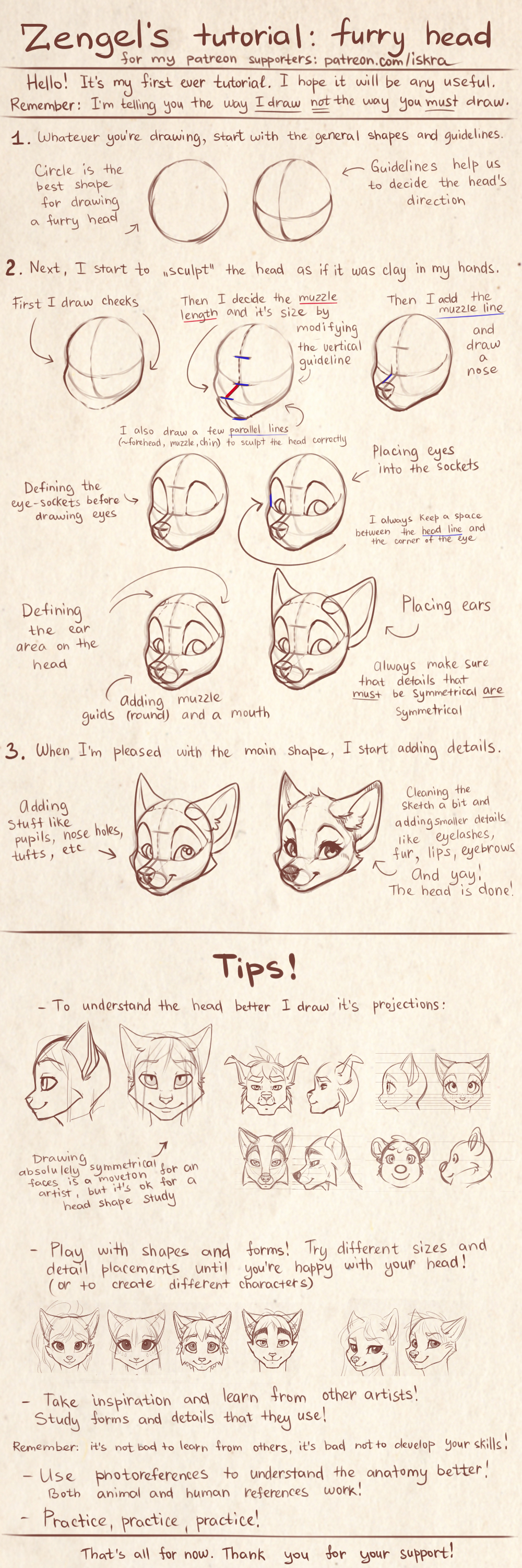 Zengel's tutorial - furry heads. by Zengel on DeviantArt