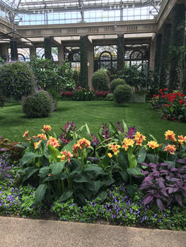 Inside the Conservatory