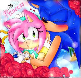 |SonAmy| Shy chu