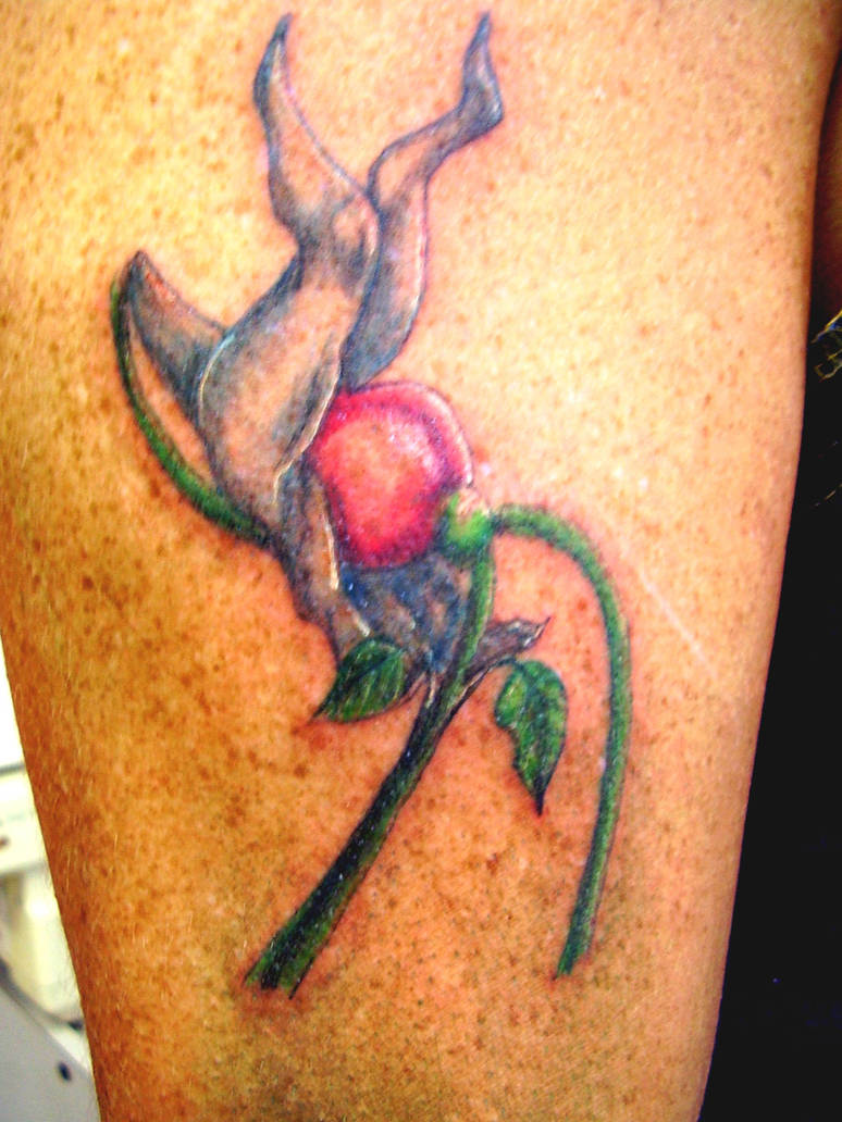 Tattoo Pink FLoyd Flower by on DeviantArt
