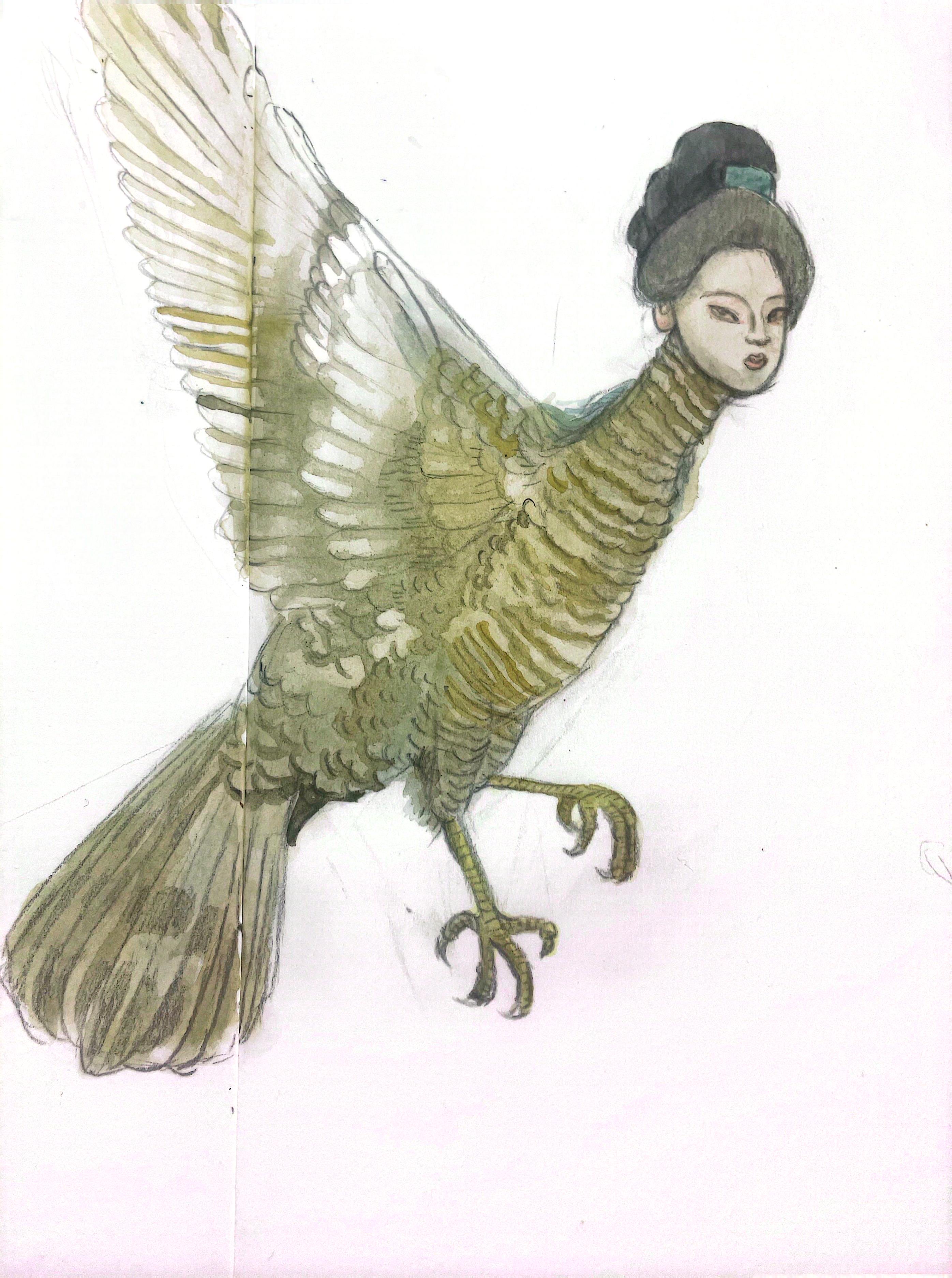Half Bird Shell Half bird half human by Taliee-art on DeviantArt