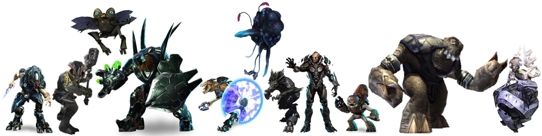 Halo 4 Covenant Species halo-4-covenant-species
