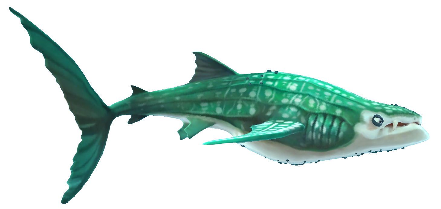 Hungry Shark Whale Shark Png By Tfprime1114 On Deviantart