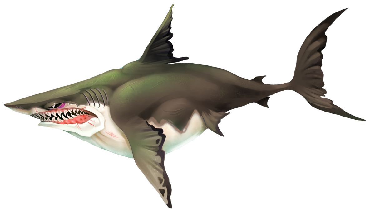 Hungry Shark Megalodon Png By Tfprime1114 On Deviantart Hungry Shark Megalodon Png By Tfprime1114 On Deviantart