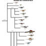 Spinosaurid Family Tree