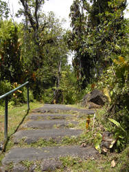 Vintage Path to a Waterfall