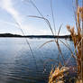 Inks Lake behind shrubs