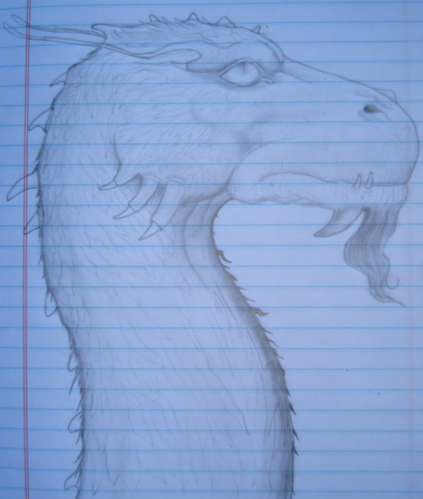 brisingr cover page by ChintanMehta on DeviantArt