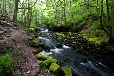 Harden Dell