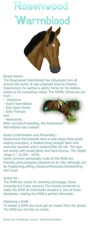 Rosenwood Warmblood Breedsheet