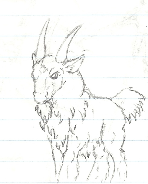 Mountain Goat