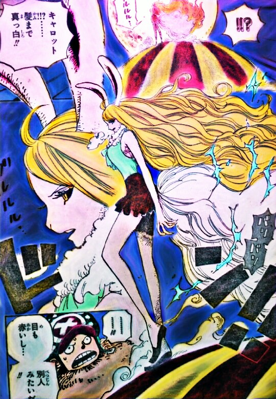 One Piece 8 Suron Carrot By Perladellanotte On Deviantart One Piece 8 Suron Carrot By Perladellanotte On Deviantart