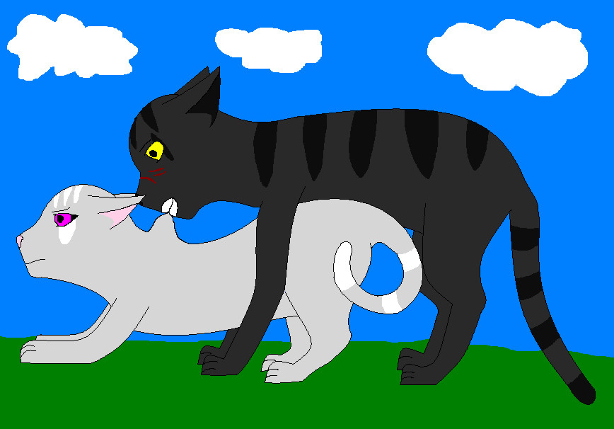 Blackblood and Ivypaw